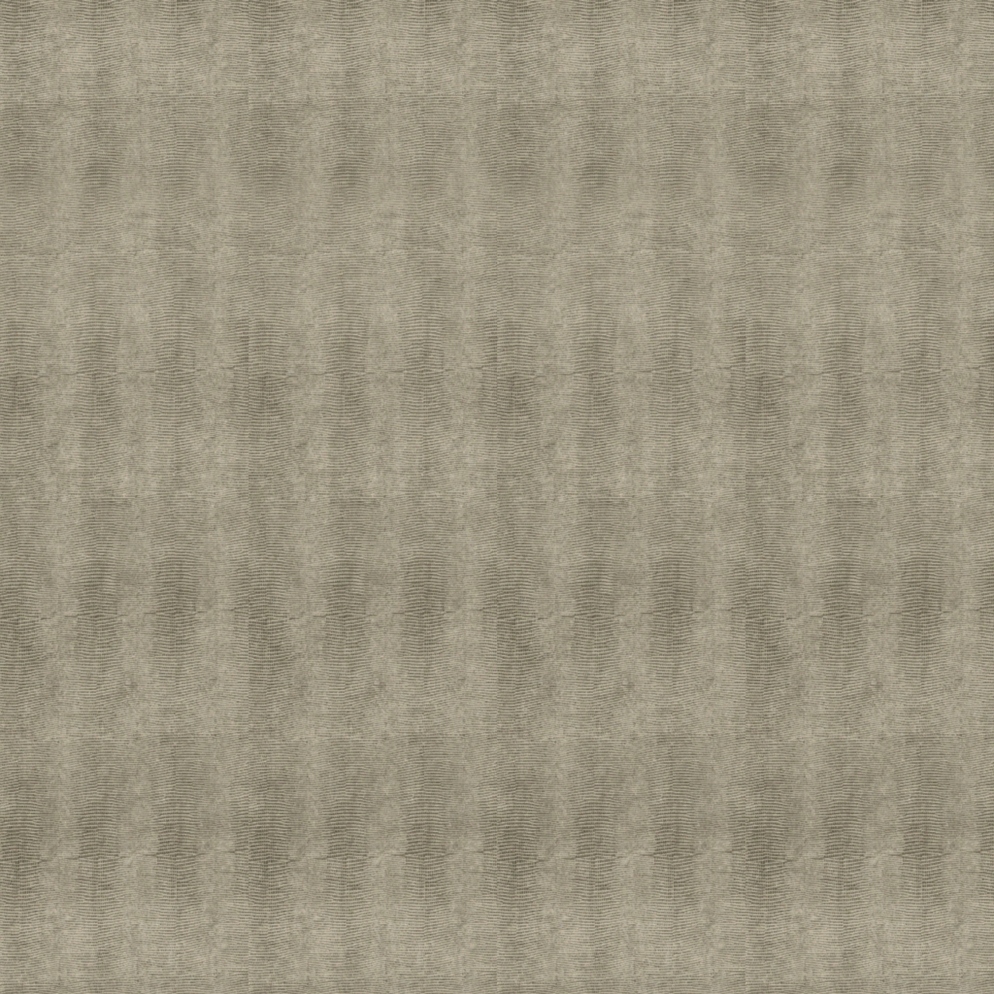 Leguan Perl